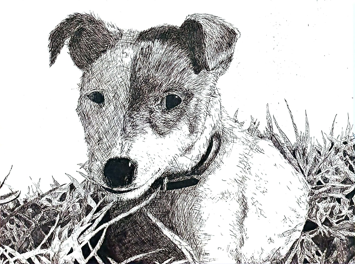 Illustration 2